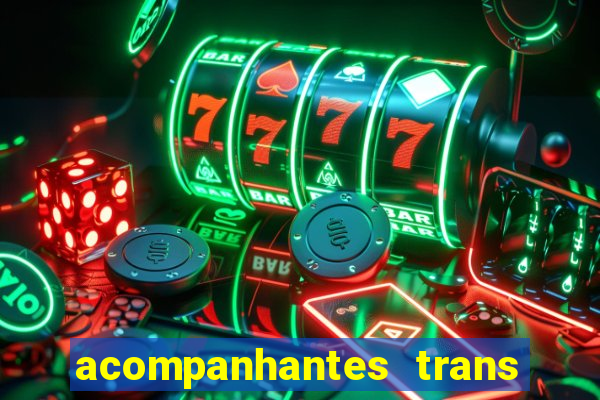 acompanhantes trans baixada fluminense